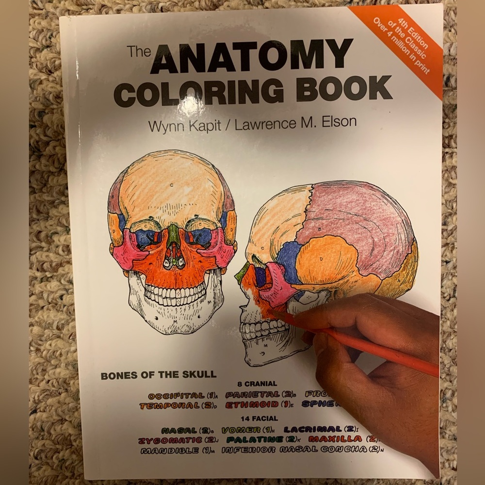 Anatomy coloring book